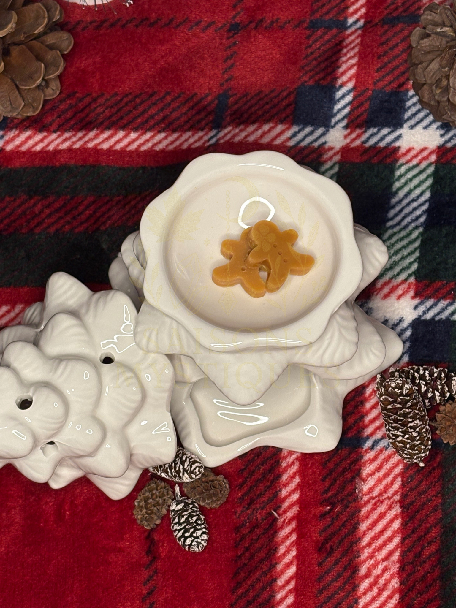 Brûleur d'huiles Sapin blanc