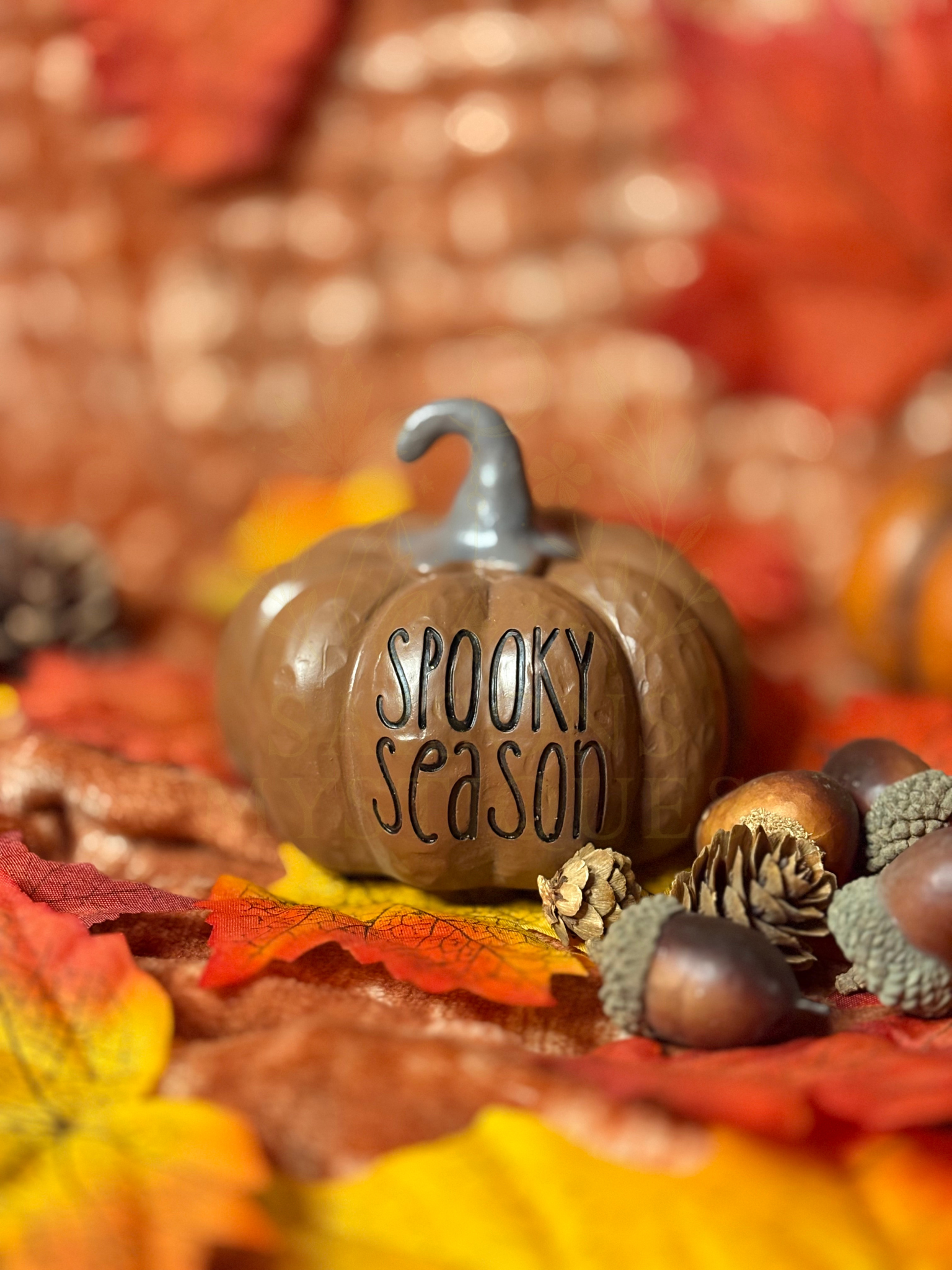 Citrouille Spooky Season