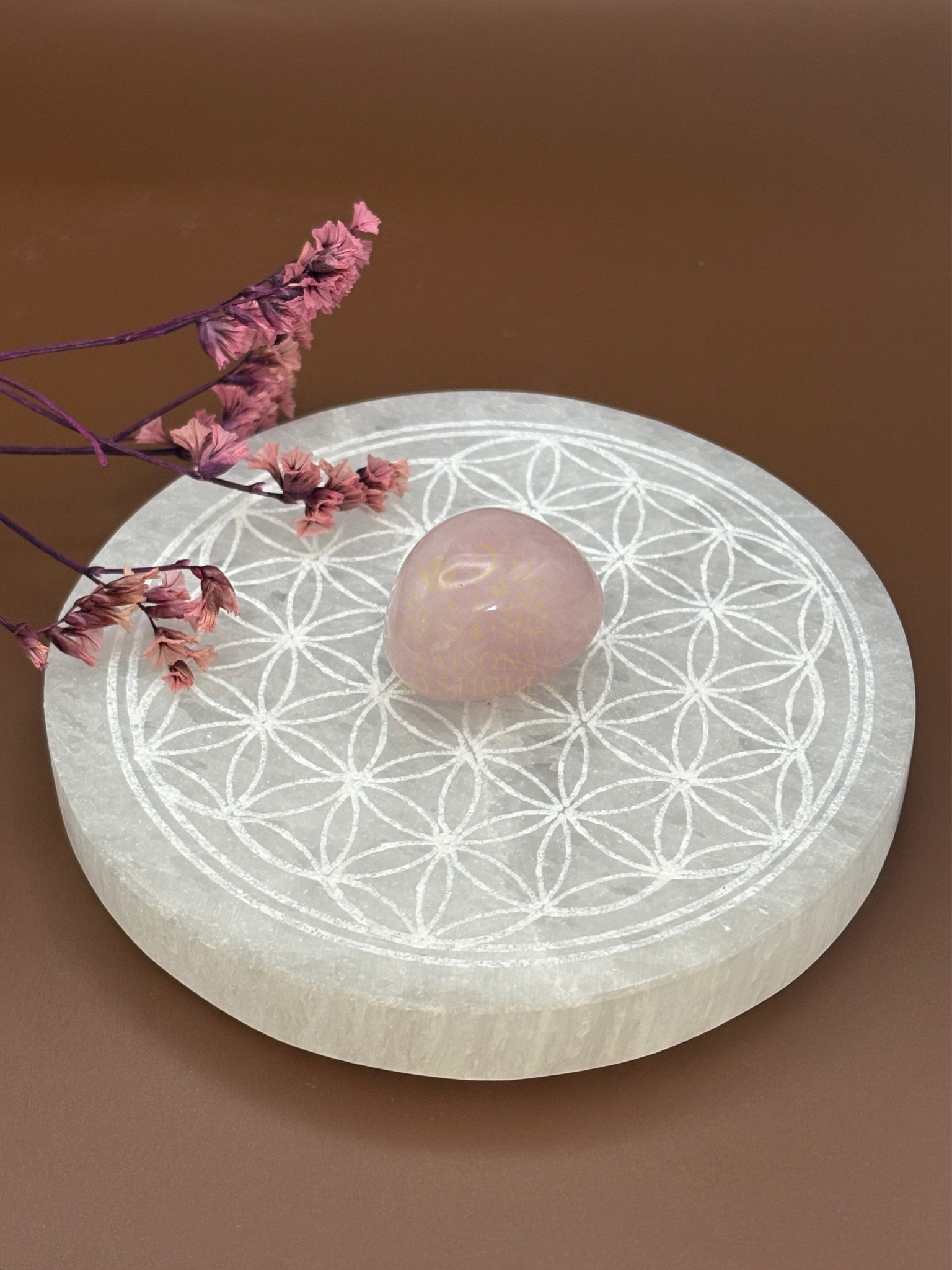 Fleur de vie en Sélénite