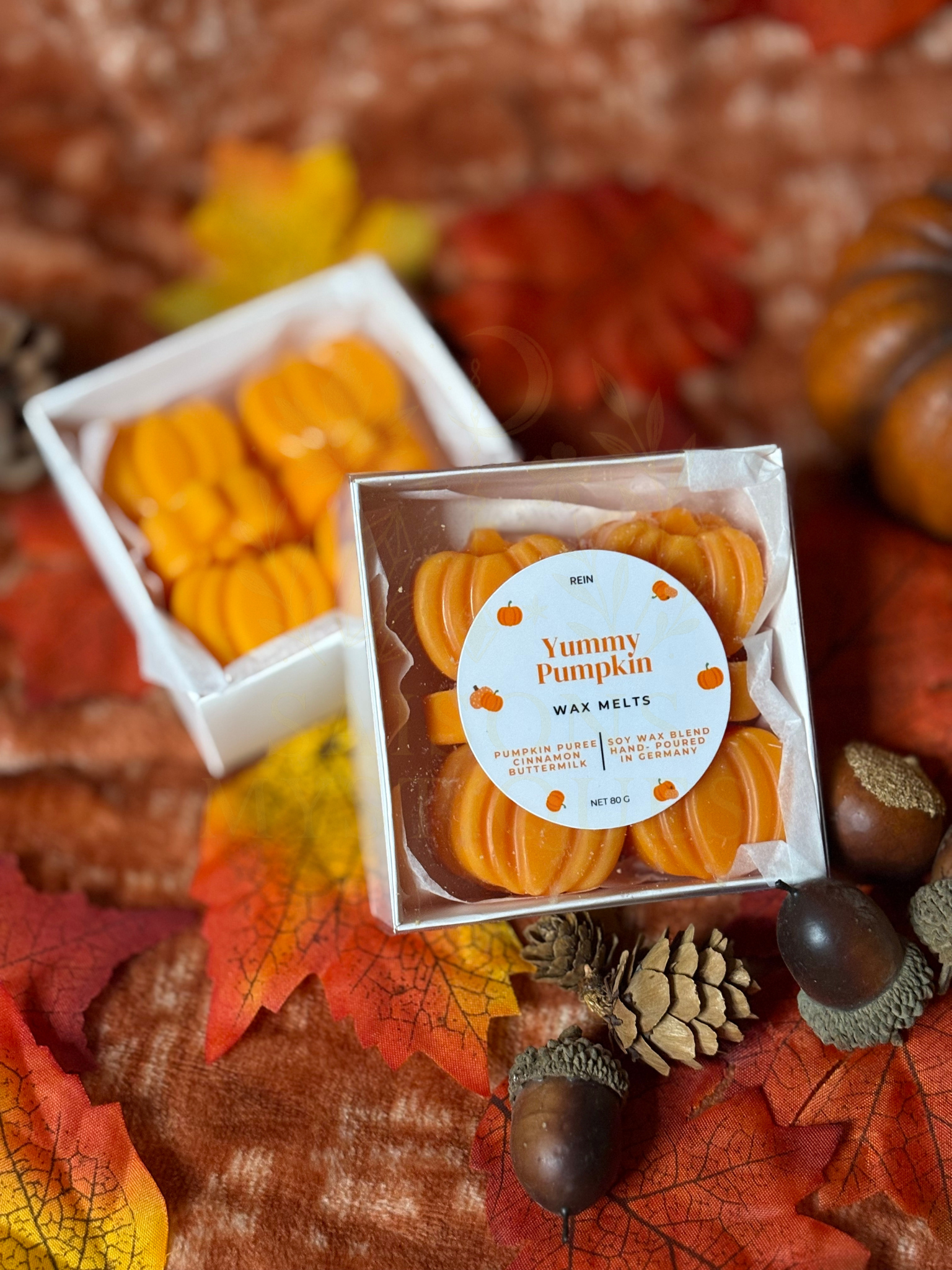 Cire fondante "Délicieuse Citrouille"