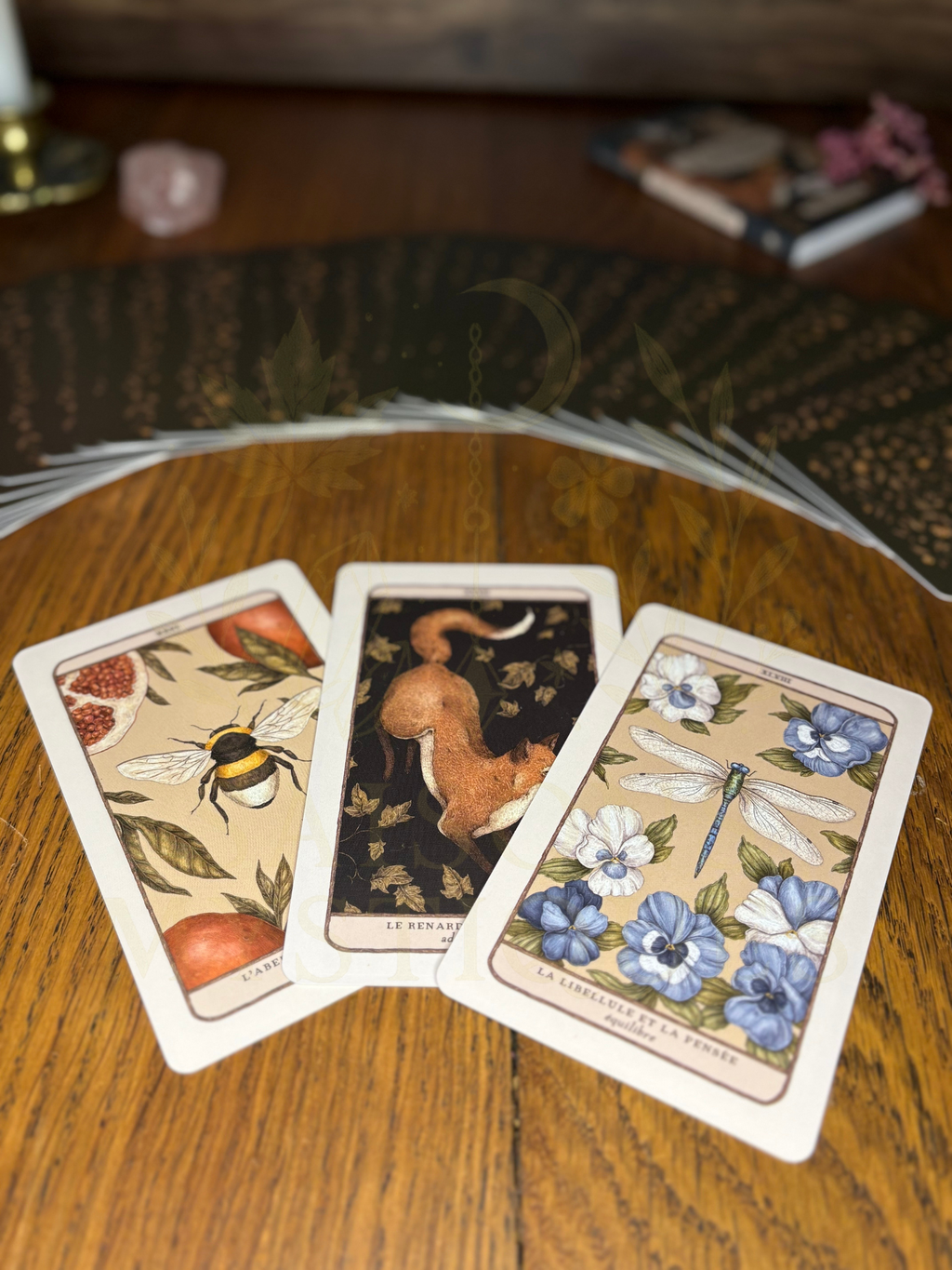 Oracle Des Gardiens des Bois et des Forêts