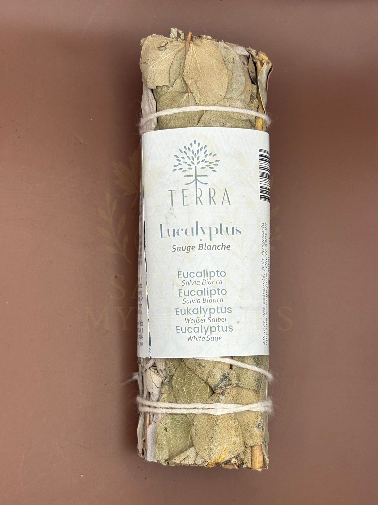 Sauge Eucalyptus